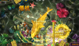 广州星力10代捕鱼客服