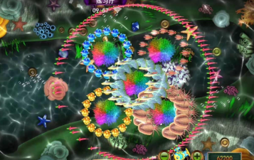 正规信誉星力大平台