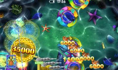 正版星力招代理