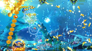 正版星力招代理