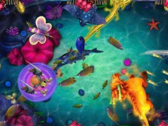 正版星力打鱼代理