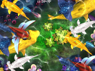 星力十代诚信平台官网