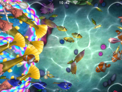 正版星力打鱼星力正版